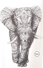 обложка книги armgallery00, Кот "Светлый путь"