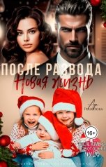 обложка книги Ада Гранатова "После развода. Новая жизнь"