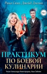 обложка книги Рина Ских "Практикум по боевой кулинарии"