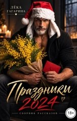 обложка книги Лёка Гагарина "Праздники 2024"