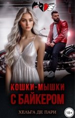 обложка книги Хельга Де Пари "Кошки-мышки с байкером"
