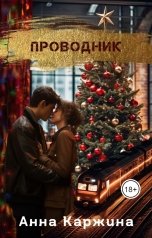 обложка книги Анна Каржина "Проводник"