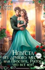 обложка книги Дэнни Стилс "Невеста из другого места, или Простите, ректор, это все кот!"