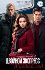 обложка книги Тина Шеху "Двойной экспресс в новый год"