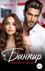 обложка книги Арина Ланц "Банкир снова в деле"