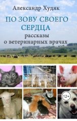 обложка книги Александр Худяк "По зову своего сердца"