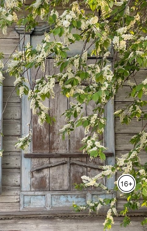 Обложка книги Наталья Гончарова Души партитура. Сборник стихов