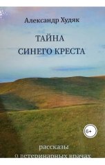 обложка книги Александр Худяк "Тайны синего креста"