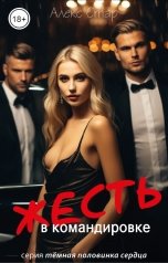 обложка книги Алекс Стар "Жесть в командировке"