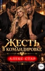 обложка книги Алекс Стар "Жесть в командировке"