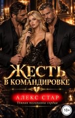 обложка книги Алекс Стар "Жесть в командировке"