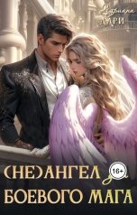 обложка книги Адриана Дари "(Не)Ангел для боевого мага"