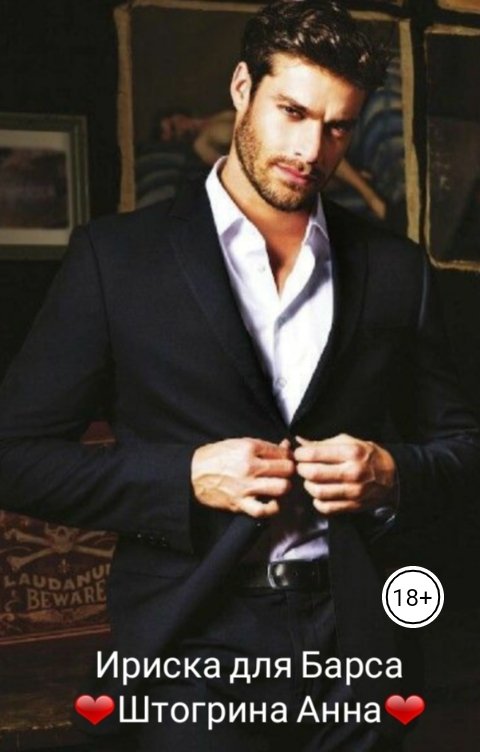 Обложка книги Штогрина Анна Ириска для Барса