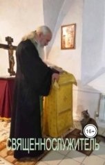 обложка книги Иван Треплов "Священнослужитель"
