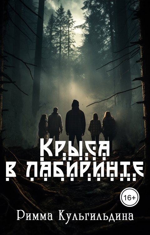 Обложка книги Римма Кульгильдина Крыса в лабиринте