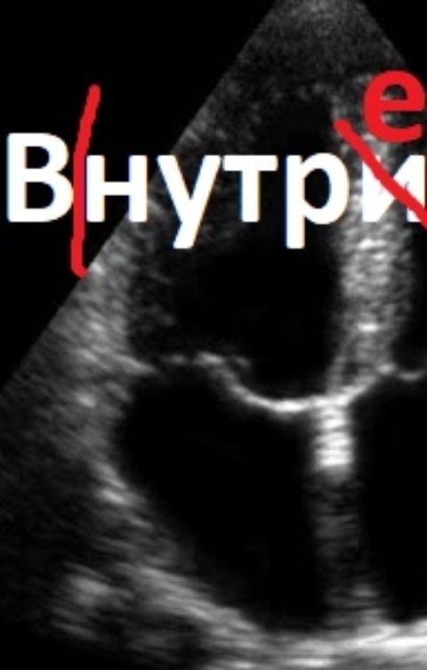 Обложка книги Nadyn Bagout Внутри