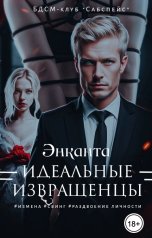 обложка книги Энканта "Идеальные извращенцы"