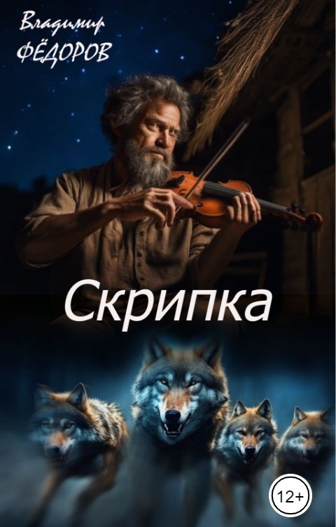 Обложка книги Владимир Федоров Скрипка