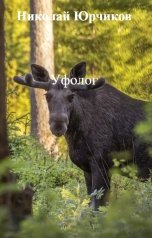 обложка книги Николай Юрчиков "Уфолог"