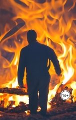 обложка книги Николай Аксенов "Из огня да в полымя"