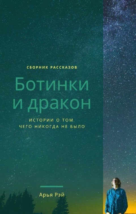 Обложка книги Арья Рэй Ботинки и дракон