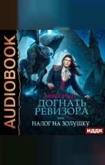 обложка книги Ртуть Мика "Догнать ревизора, или Налог на Золушку"