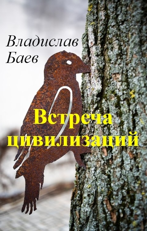 Обложка книги Владислав Баев Встреча цивилизаций