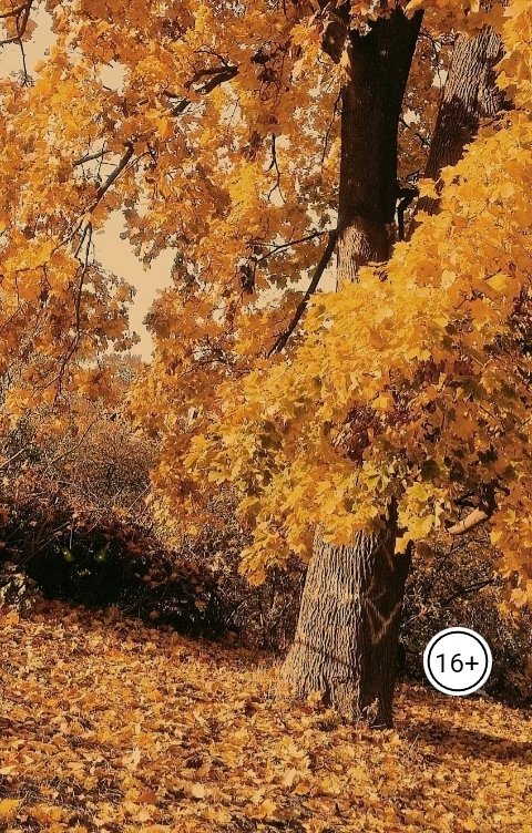 Обложка книги Mila AL Перейди на кого-то