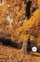 обложка книги Mila AL "Перейди на кого-то"