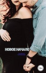 обложка книги Альбина "Новое начало"
