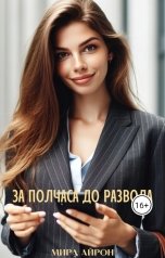 обложка книги Мира Айрон "За полчаса до развода"