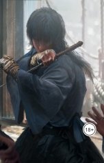 обложка книги Vladimir Sedinkin "Подобный скале"