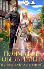 обложка книги Ирэн Блейкстар "Поймать и обезвредить, или Ведьмочка для капитана"