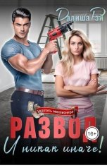 обложка книги Далиша Рэй "Развод, и никак иначе!"