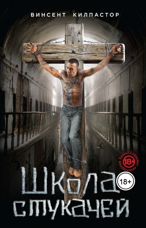 Обложка книги Vincent Killpastor Школа Стукачей