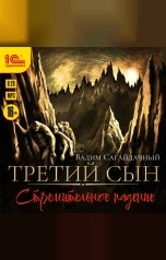 обложка книги Вадим Сагайдачный "Третий сын. Стремительное падение"