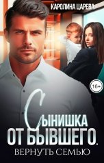 обложка книги Сынишка от бывшего. Вернуть семью
