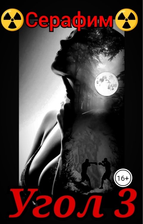 Обложка книги Серафим Угол 3
