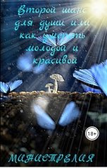 обложка книги Министрелия "Второй шанс для души или как умереть молодой и красивой."