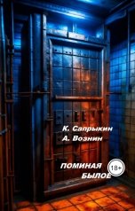 обложка книги Вознин А. А., К. Сапрыкин "Поминая былое"