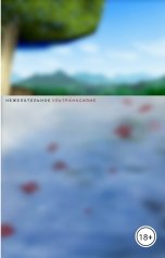 обложка книги Владимир Сакмайдиков "Нежелательное ультранасилие"