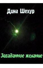 обложка книги Дина Шехур "Загаданное желание"
