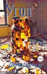 обложка книги Дина Шехур "Угол"