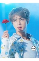 обложка книги Путник "Прошлая жизнь Джина из БТС"