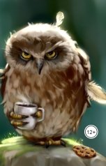 обложка книги Vladimir Sedinkin "Директор"