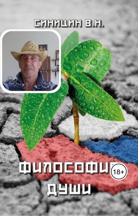 Обложка книги vybtyp.books Философия души