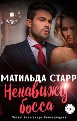 обложка книги Матильда Старр "Ненавижу босса"