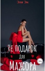 обложка книги Эля Эн "Не подарок для мажора"