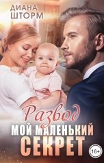 обложка книги Диана Шторм "Развод. Мой маленький секрет"