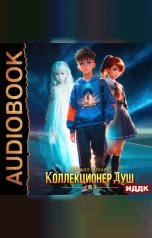 обложка книги Липарк Михаил "Коллекционер душ. Книга 6. Финал"